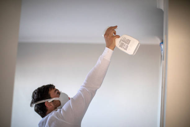 Water Damage Restoration in Williamsburg, FL
