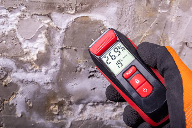 Best Mold Remediation Experts  in Williamsburg, FL