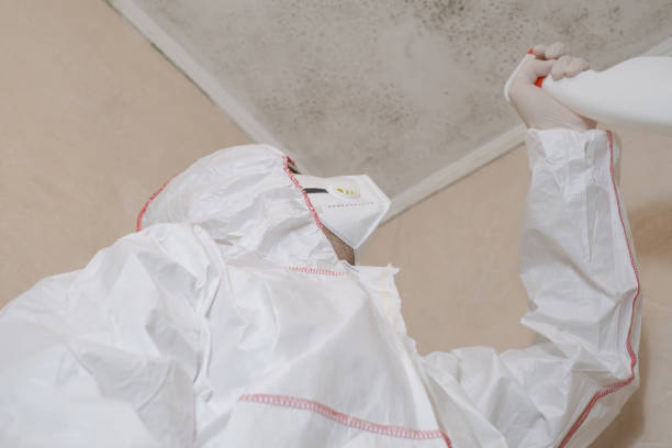 Best Professional Mold Removal  in Williamsburg, FL